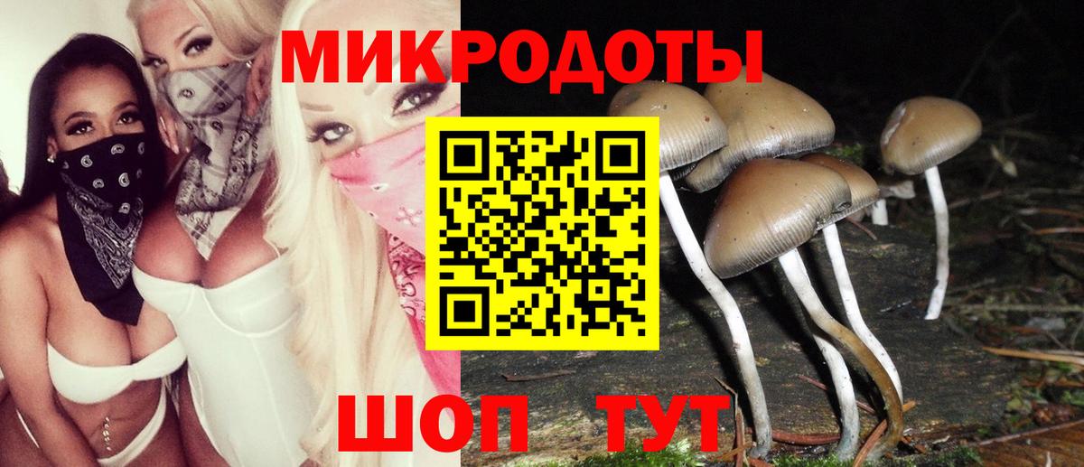 купить закладку  Галлюциногенные грибы прущие грибы  Россошь  Вход с VPN  Псилоцибиновые грибы ЛСД 
