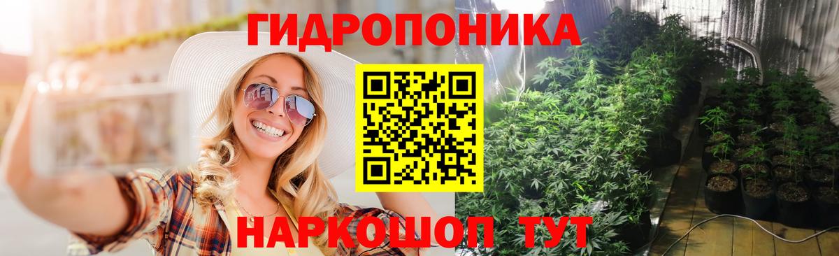 Конопля AK-47  Бошки марихуана гибрид  Россошь  Каннабис тримм  Конопля семена  Вход с VPN 